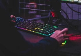 25 ноябр, 2025 йил. Steam платформасида Қора Жума акцияси