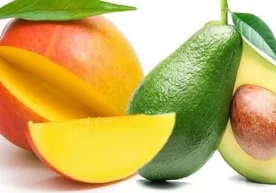 Sogʻlom ovqatlanishga oid yangi tadqiqot qiziq xulosalarni