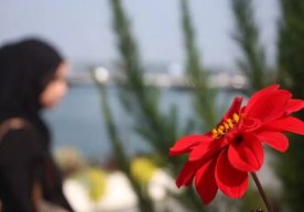 “Kuchli ayol” bo‘lish yoqimli tuyg‘u emas... фото