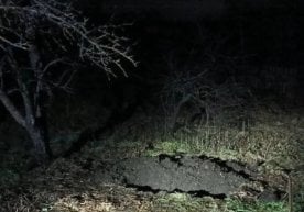 Владимир вилояти ИИБ берган маълумотга кўра, Владимир