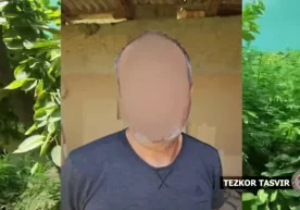 Фото: Видеодан кадр Самарқанд вилоятида далаҳовлисида