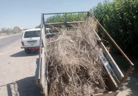 Фото: Бухоро вилоят Экология бошқармаси Бухоро вилояти