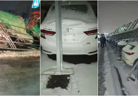 Foto: Videodan kadr Ijtimoiy tarmoqlarda Toshkentdagi