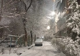 Синоптиклар прогнозига кўра, Ўзбекистоннинг аксарият