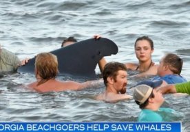 Фото: CBS News Жоржия яқинидаги пляжда дам олаётган аҳоли