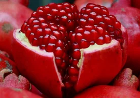 Анор турли хил — лимон, олма, шовул ва қаҳрабо кислоталари