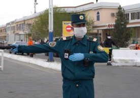 Нима учун автотраснпорт воситаларида Тошкент вилоятидан