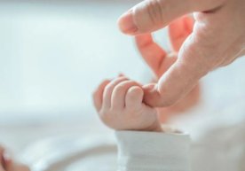 Жорий йилнинг январь–сентябрь ойларида Ўзбекистонда