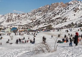 Гидрометеорология хизмати агентлиги башоратига кўра,