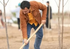 Президентнинг “Яшил макон” умумиллий лойиҳасини янада