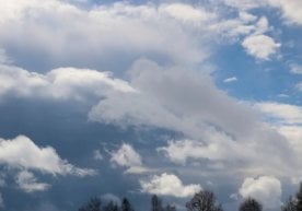 Ўзгидромет ва бир неча манбага кўра, 26 март куни