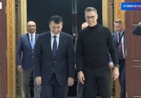 Финландия президенти Александр Стубб 29 октябрь куни