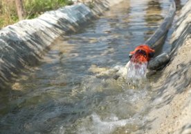 Ўзбекистонда гидроэлектр станцияларда электр ишлаб чиқариш