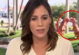 AQShning MSNBC telekanali jonli efirida tirannozavr