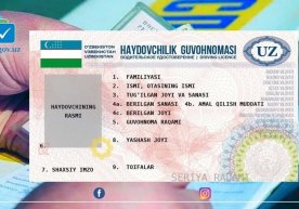 Endi haydovchilik guvohnomasini olish oson bo‘lmaydi фото