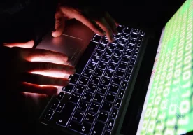 Гиёҳвандлик воситаларини интернет орқали сотганларга