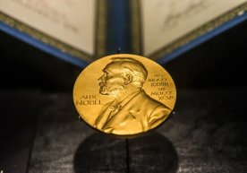 Harbiy xizmatdan bosh tortganlar harakati Nobel mukofotiga nomzod sifatida ko‘rsatildi фото