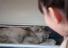 Фото: AA Туркиядаги даҳшатли зилзиладан 49 кун ўтиб «Хон»