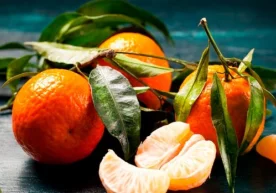 Қиш фаслида севиб истеъмол қилинадиган мевалардан бири —