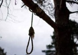 Фарғонада «самосуд»: одамлар ўғриларни дарахтга осиб, роса дўппослаган фото