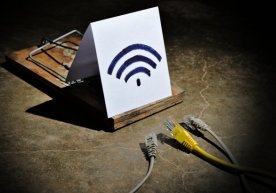Бепул Wi-Fi нимаси билан хавфли? фото
