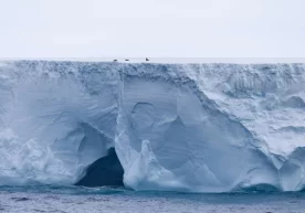 World’s largest iceberg A23a loses 9% of its area фото