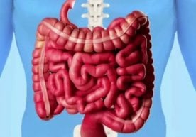 Сўнгги пайтларда кўпчилик ичак соғлиғига эътибор