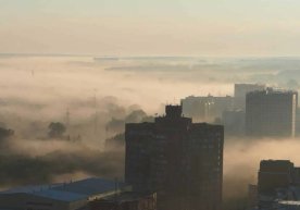 Ўзгидромет маълумотига кўра, 5 январ куни Тошкентда шамол