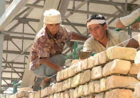 Ўзбекистонда ишчилар бозоридаги афзалликларни ўрганиш