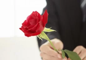 Ўзбекистон президенти Шавкат Мирзиёев диний уламолар билан