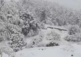 Olimlar qish faslidagi jiddiy xavf haqida ogohlantirishdi фото