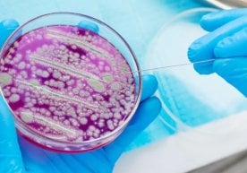 Москва вилояти Пушино шаҳридан бўлган 11-синф ўқувчиси