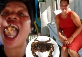 Филиппинда ижтимоий тармоқ учун “контент” қилиш истаги