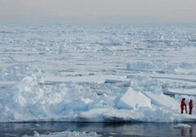 Foto: Science Alert Shimoliy Muz okeanidagi Arktika