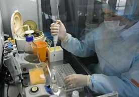 O‘zbekistonda koronavirus bilan bog‘liq vaziyat