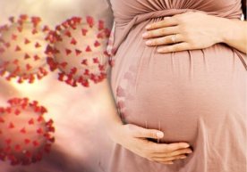 Koronavirus homiladorlikning qaysi davrida nisbatan xavfli ekani aytildi фото