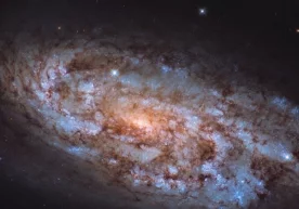 Фото: Spacetelescope Олимлар Hubble телескопи ёрдамида