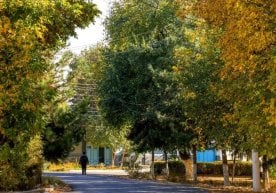 Тошкент шаҳри Ҳаво ўзгарувчан бўлади, ёғингарчилик