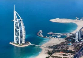 1.Dubay aholisi orasida yirtqich hayvonlarni uy jonivori