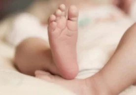 Самарқандда ит янги туғилган чақалоқнинг ҳаётини сақлаб