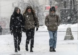 «Ўзгидромет» маълумотларига кўра, 29 декабрь куни