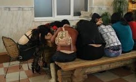 Toshkentda ikki kechada 74 nafar “tungi kapalaklar” va 4 nafar erkak qo‘lga olindi фото