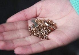 Samarqandda ofitsiant qiz oshxona egalarining uyidan 120 mln so‘mlik tilla buyumlarni o‘g‘irladi фото