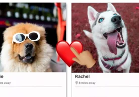 Одамлар бир хил турдаги танишув иловаларидан бутунлай