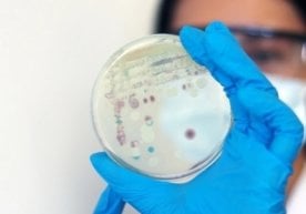 Кембриж университети қошидаги Сейнсбери лабораторияси