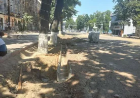 Дарахт ва буталарни қонунга хилоф равишда кесиш билан