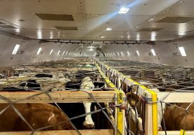 8 декабрь куни Тошкент халқаро аэропортида муҳим юк