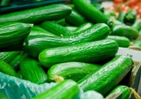 Бодринг ёз мавсумида энг кўп истеъмол қилинадиган