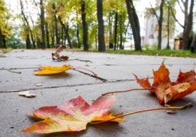 According to the information from Uzhydromet, on October