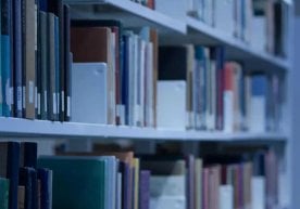 2025 йил январь-сентябрь ойларида Ўзбекистонда таълим